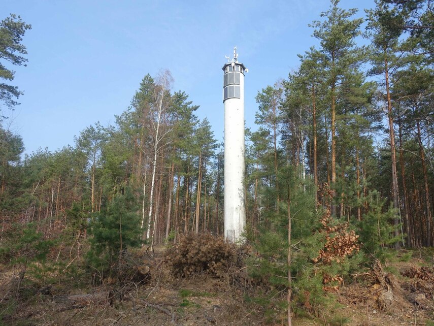 ein Feuerwachturm im Wald