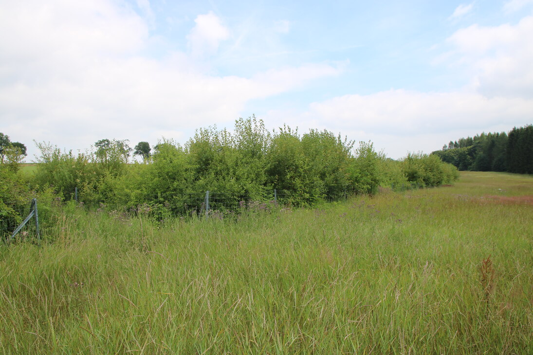 Heckenanlage im Ortsteil Gablenz