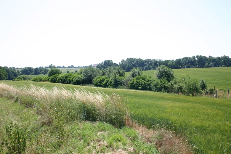 Heckenanlage in Stahna