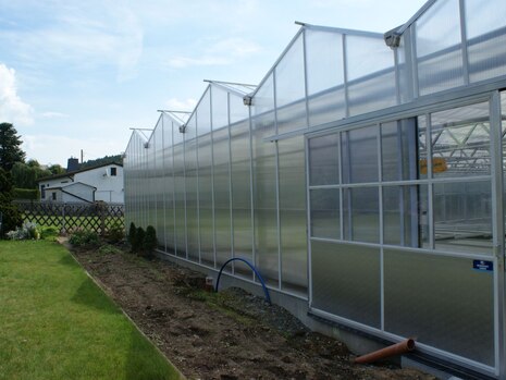 Gewächshausneubau
