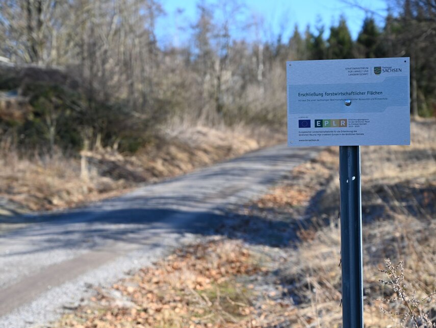 Forstweg asphaltiert mit Erläuterungstafel