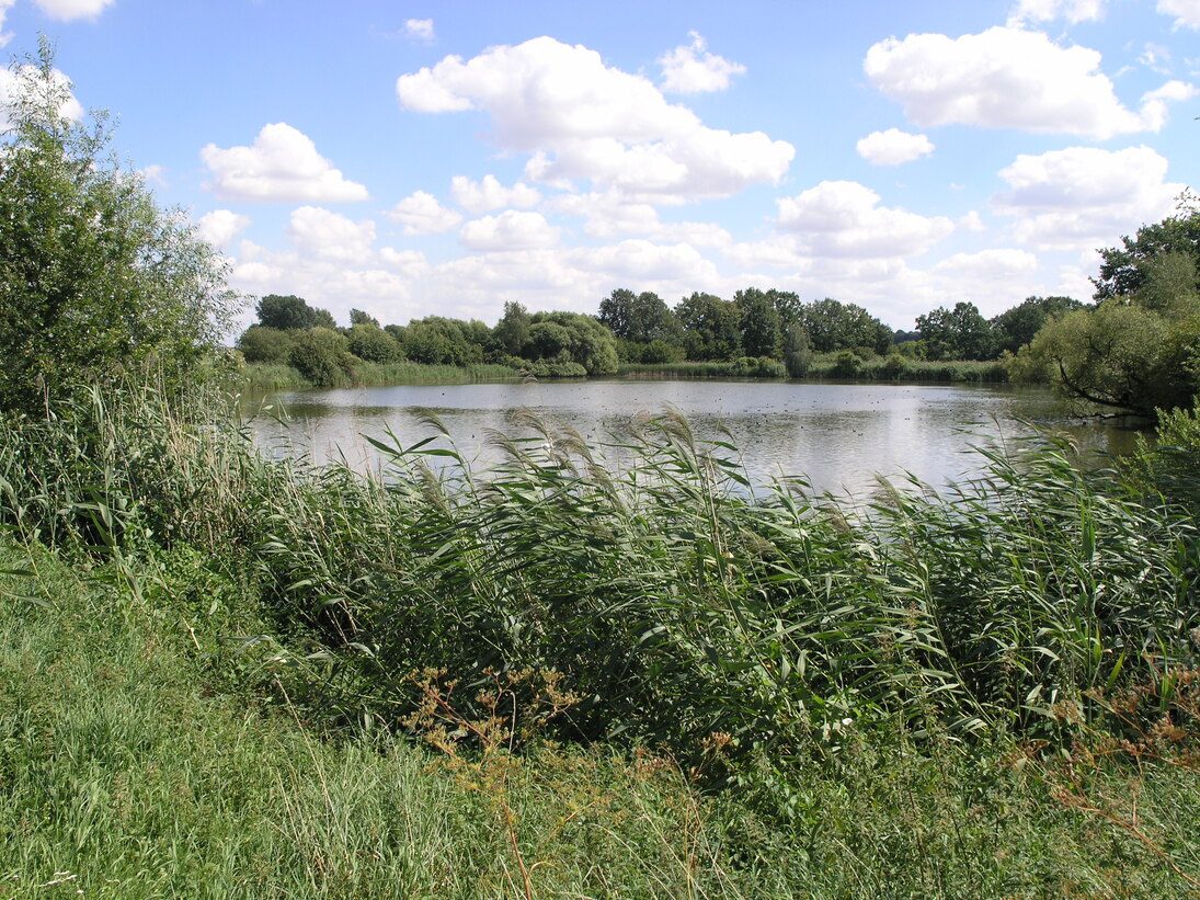 Teich mit Wolken