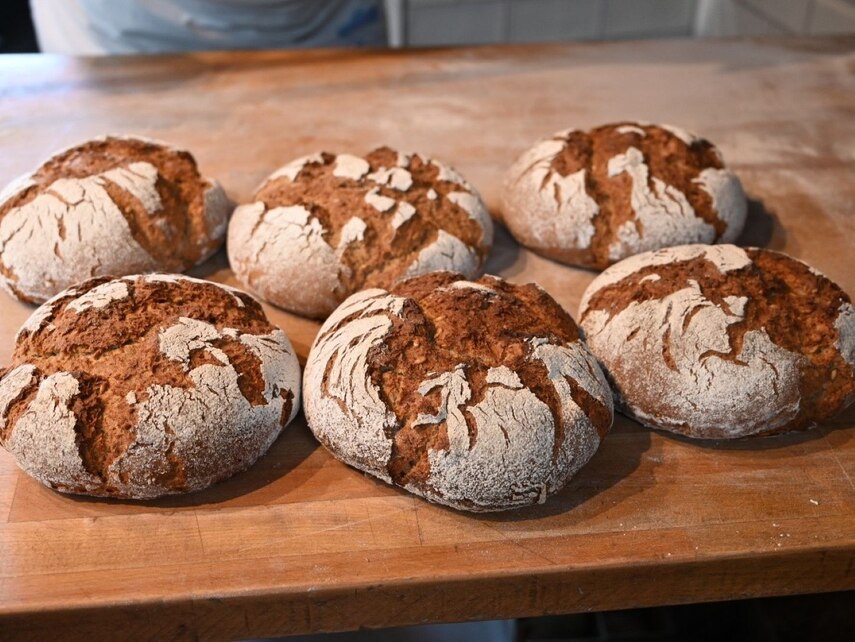 mehrere frisch gebackene Brote