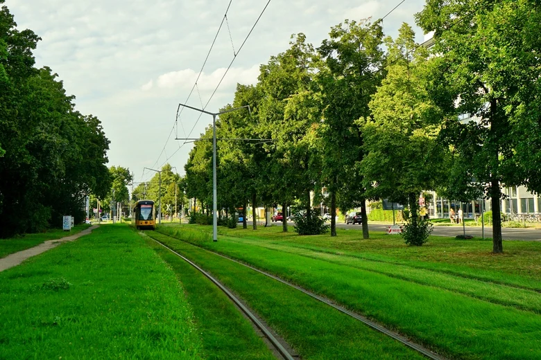 begrünte Rasengleise mit Straßenbahn