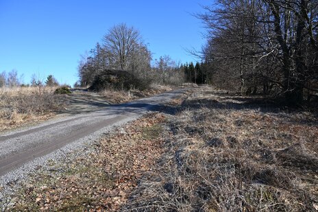 Forstweg instandgesetzt