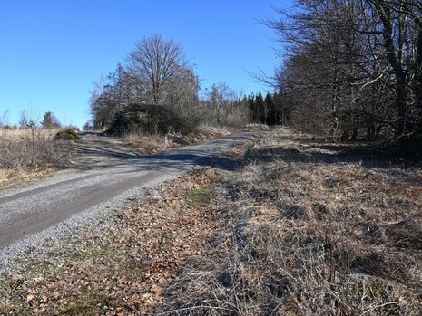 Forstweg instandgesetzt