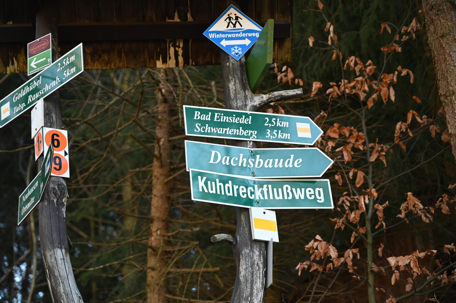Wegweiser mit mehreren Hinweisen