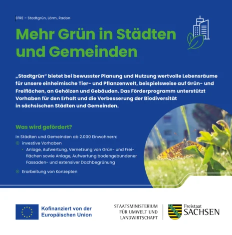 Titelbild Flyer Stadtgruen