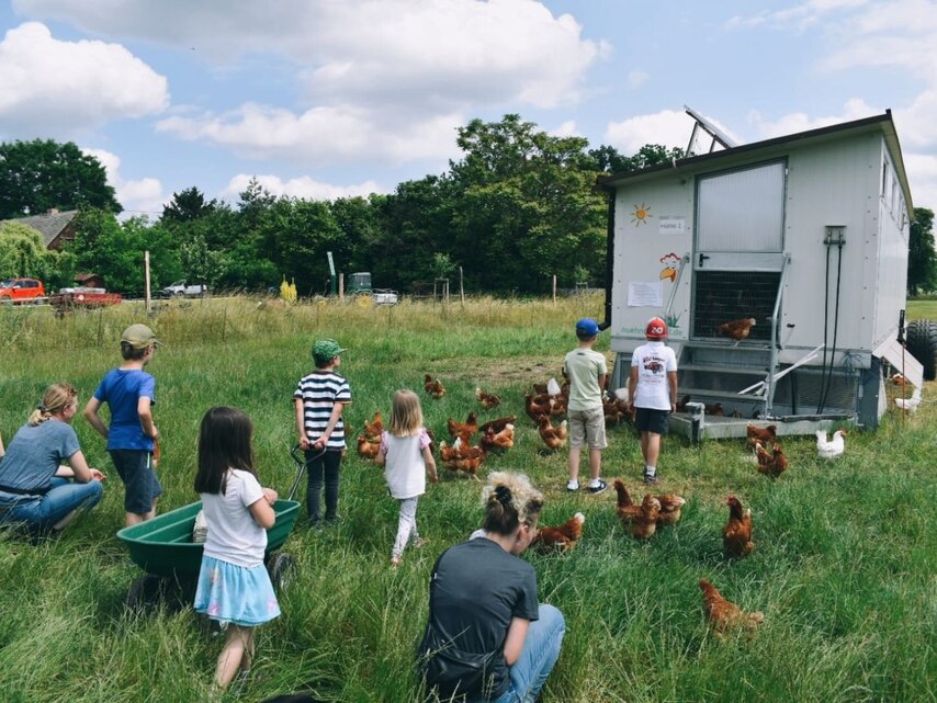 Kinder und Hühner vor dem Hühnermobil
