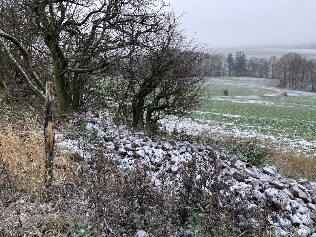 Steinrücken im Winter mit Schnee