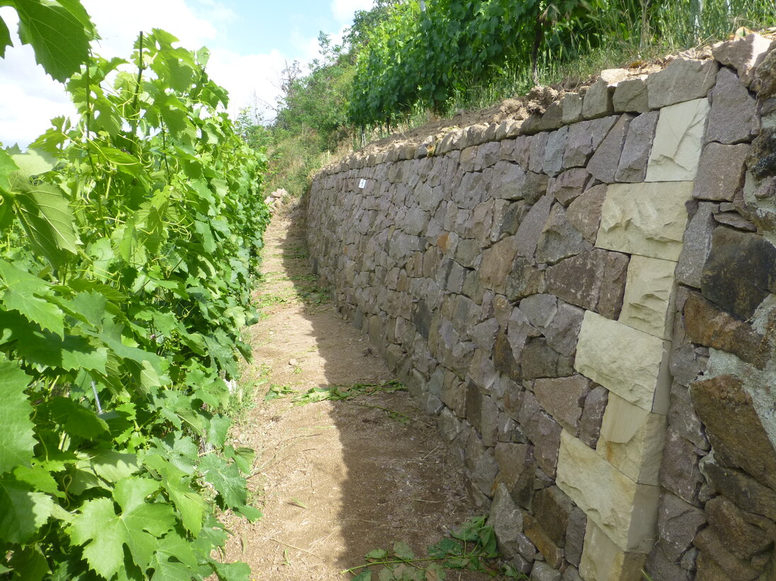 sanierte Weinbergmauer