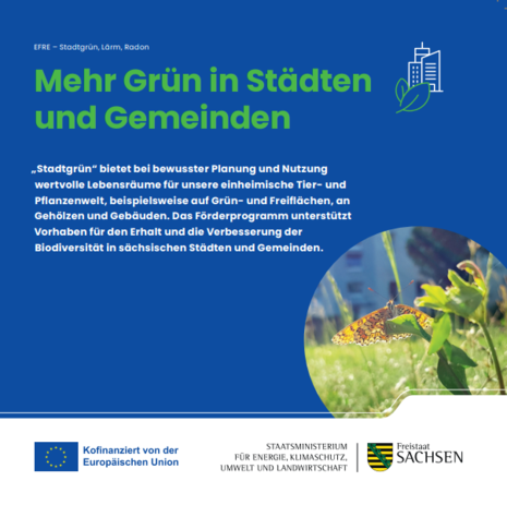 Flyer Förderrichtlinie Stadtgrün, Lärm, Radon/2023 Förderbereich Stadtgrün