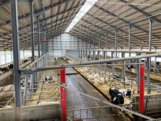 im Stall, Sicht von oben