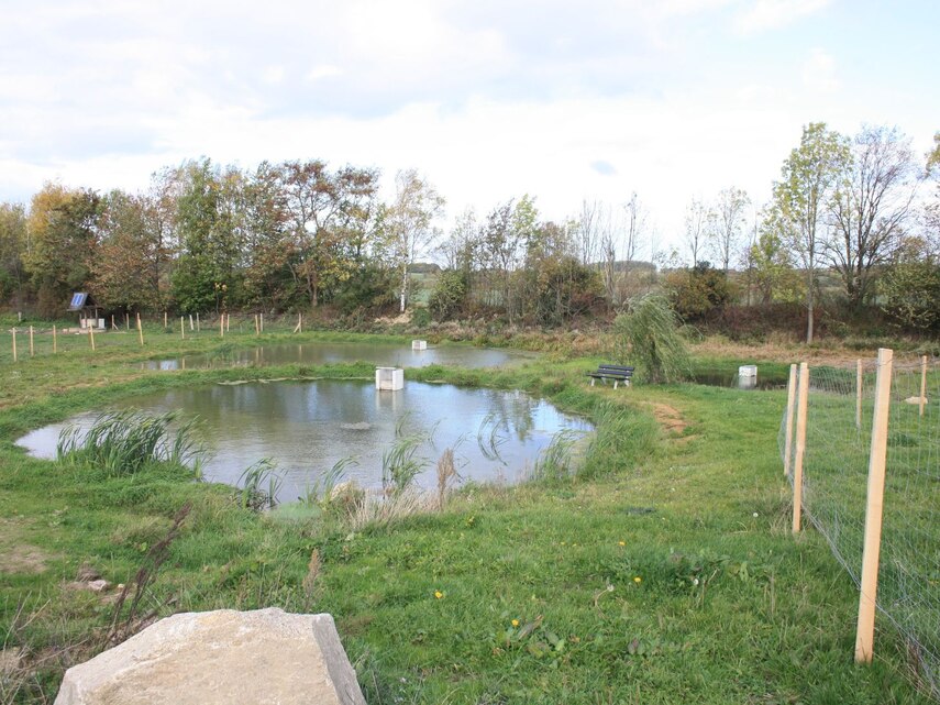 Teichanlage 2 Teiche