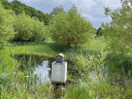 Teilchanlage, grün bewachsen